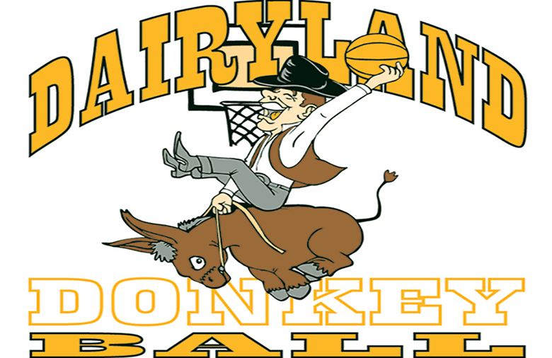 donkey-ball-image