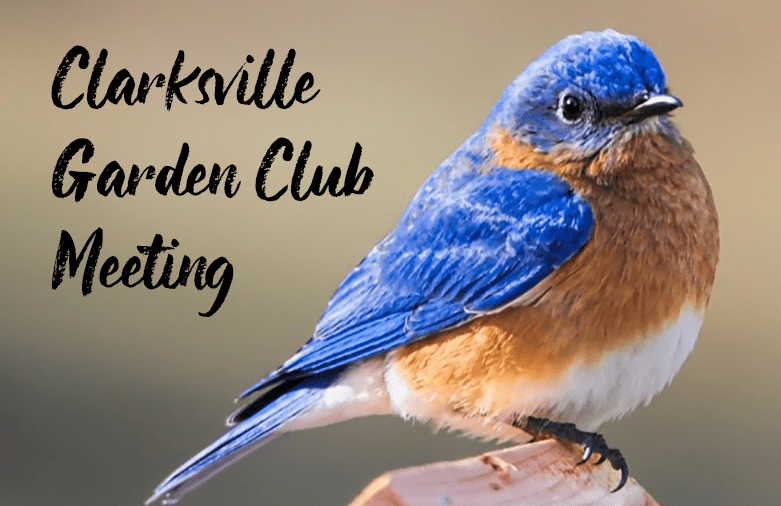 clarksville-garden-club-meeting