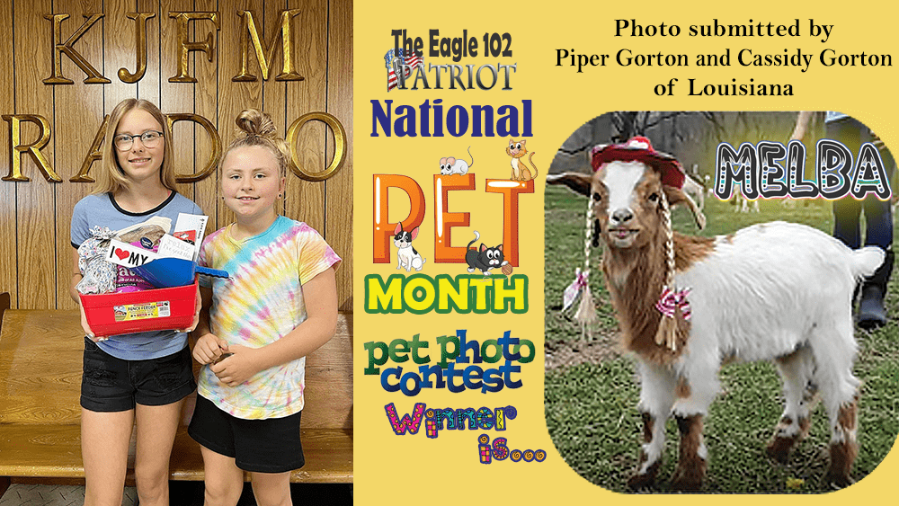 pet-photo-contest-winners-copy-2