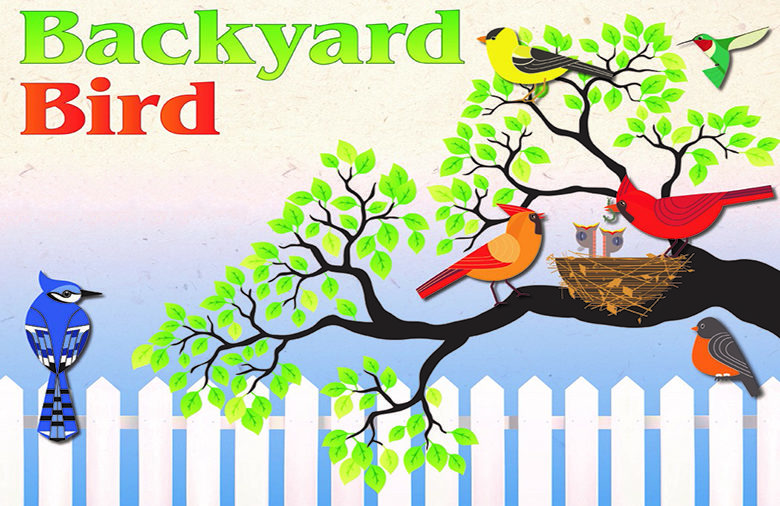 backyard-bird-program