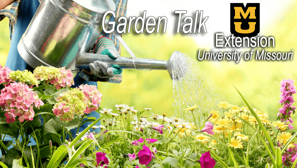 july-garden-copy-2