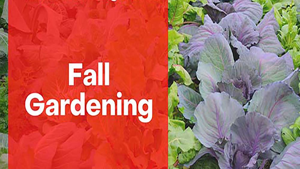 fall-gardening