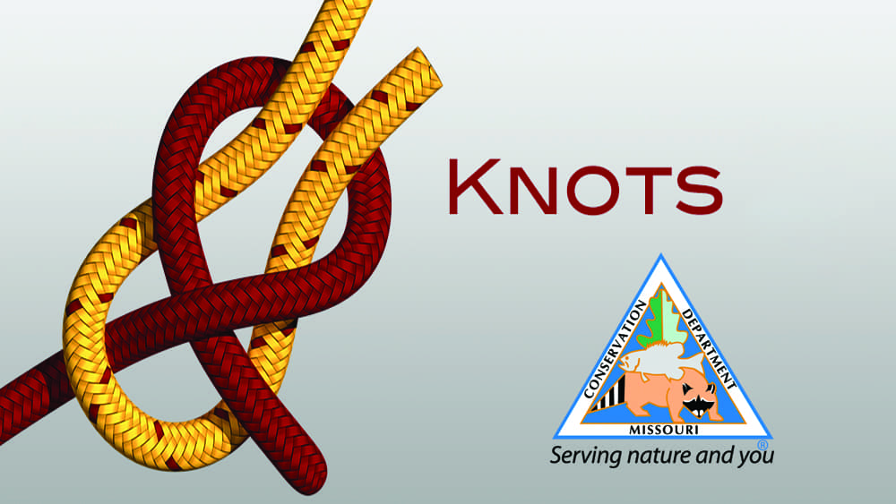 knots