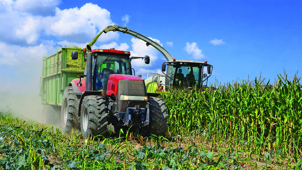 silage