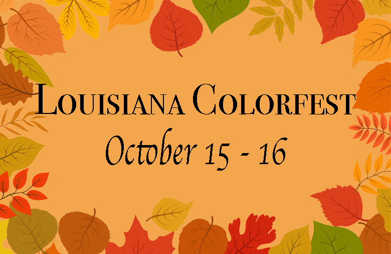 colorfest-copy