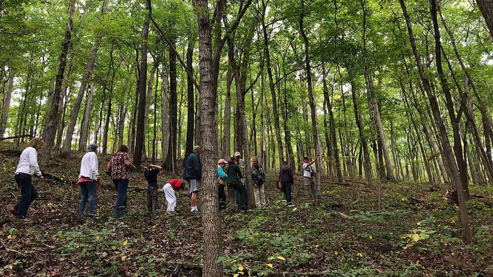 Forest and woodland workshop in Lincoln County