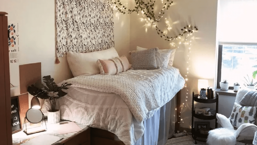 Golden rule for dorm room plants Keep it simple Eagle102