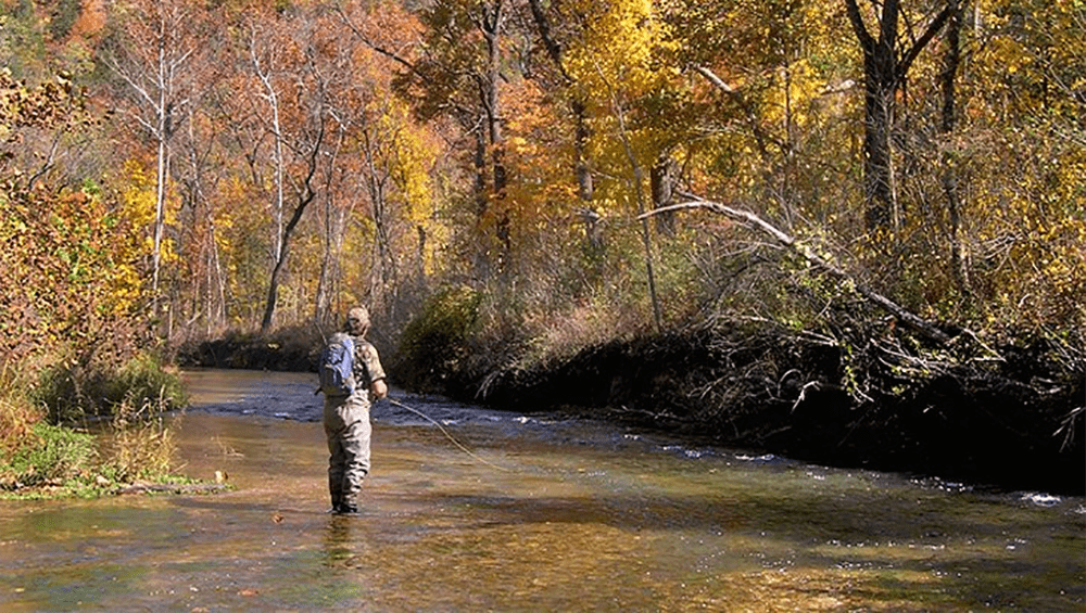 Illinois fall trout fishing season opens Oct. 15 Eagle102