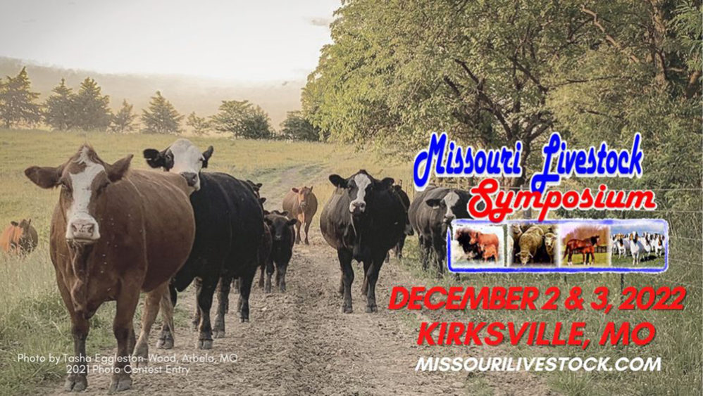 Missouri Livestock Symposium beef program focuses on capturing
