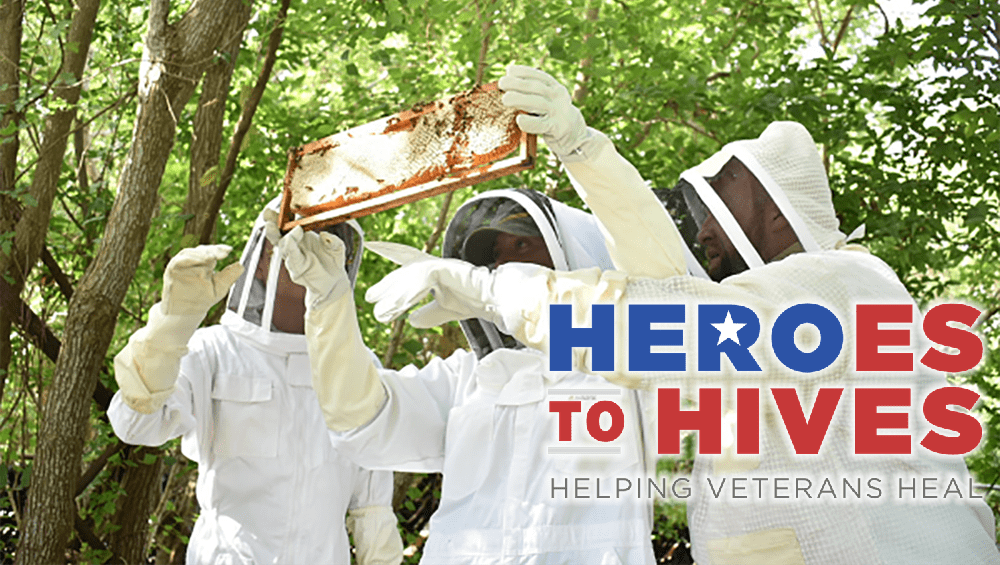heroes-to-hives-copy