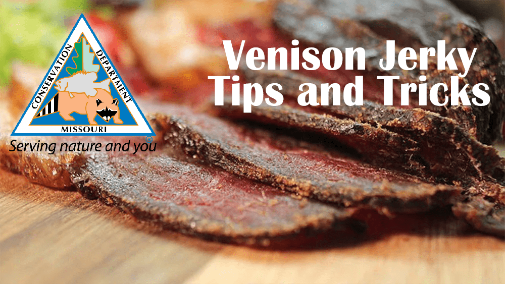 venison-jerky