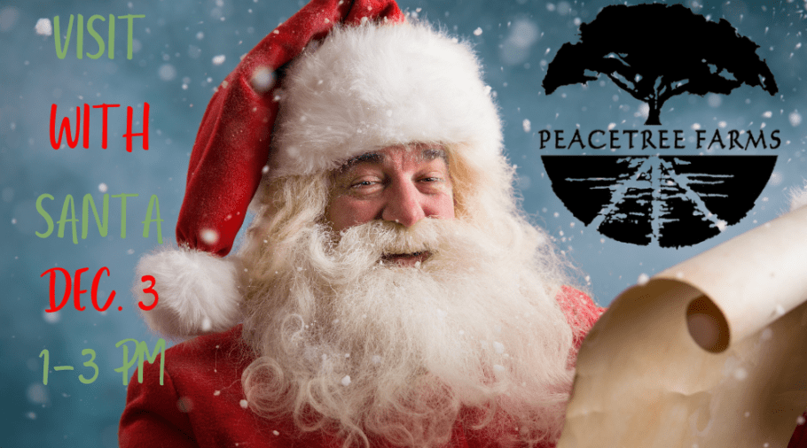 visit-with-santa