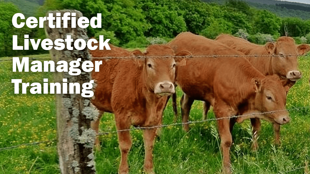 livestock-manager-training