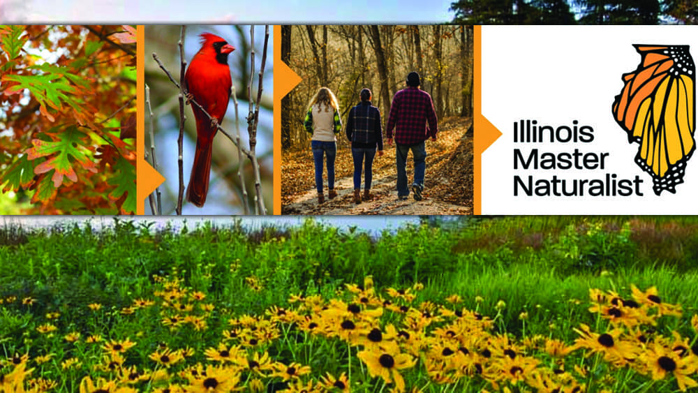 Univ. of Illinois Extension relaunching Master Naturalist chapter