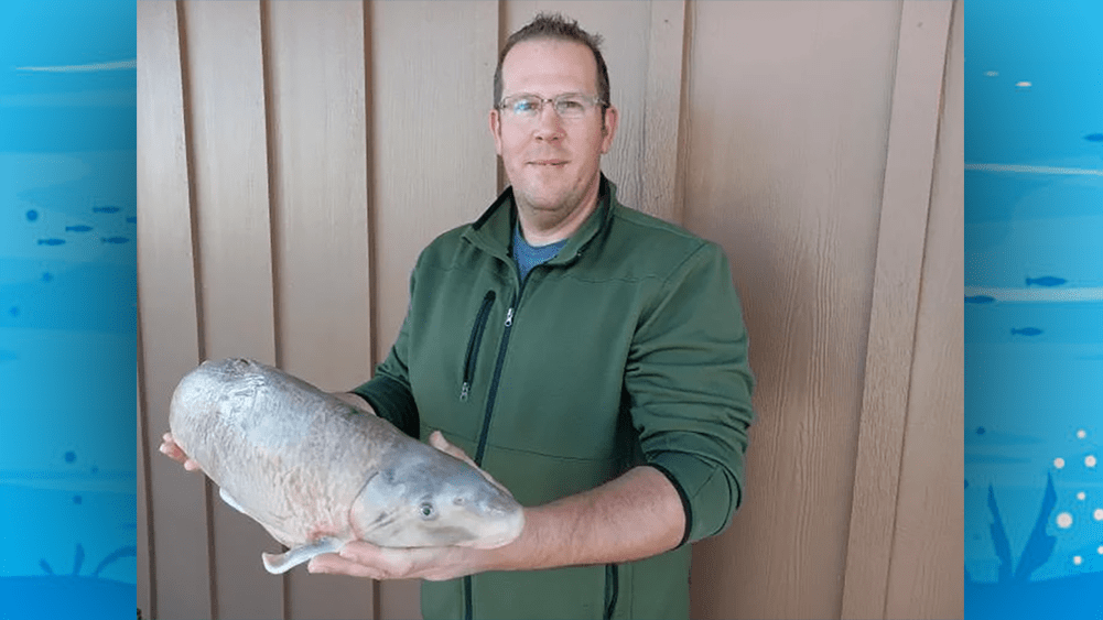 fish-state-record
