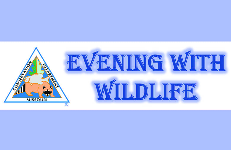 mdc-evening-with-wildlife-copy