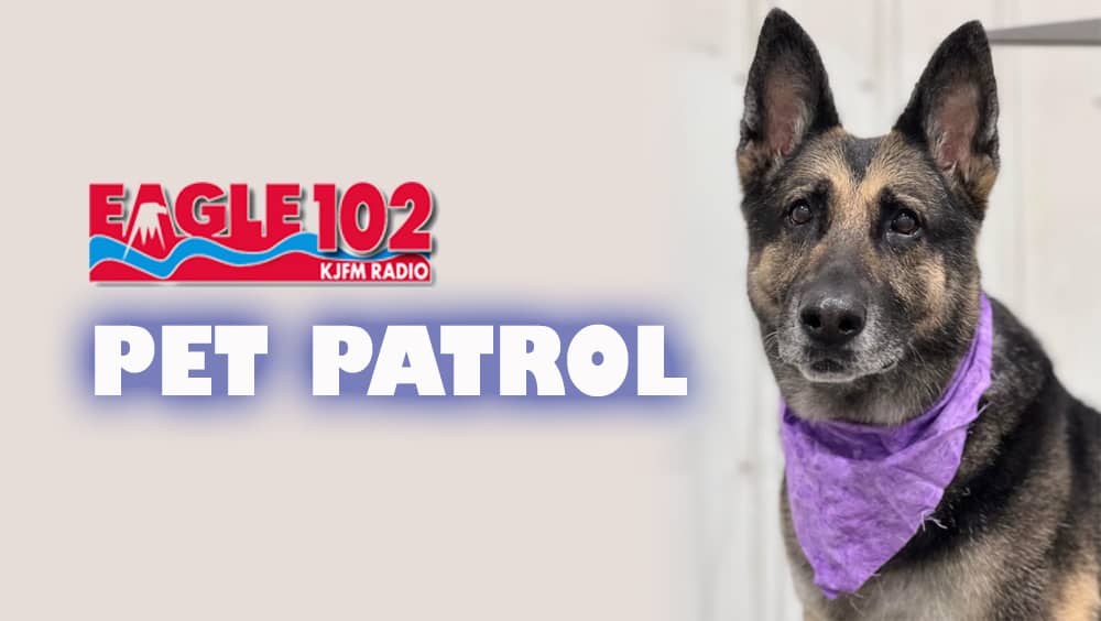 pet-patrol-logo-2