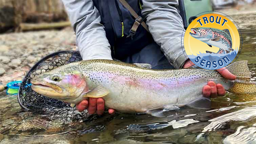 Illinois spring trout fishing season opens April 1