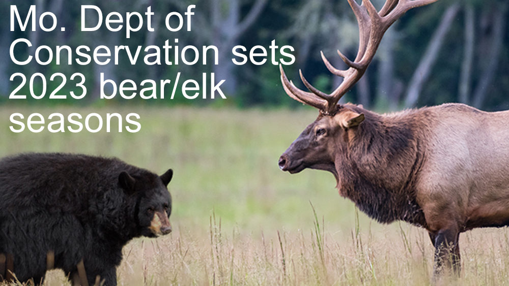 Missouri Dept. of Conservation sets bear and elk seasons with permit applications in May