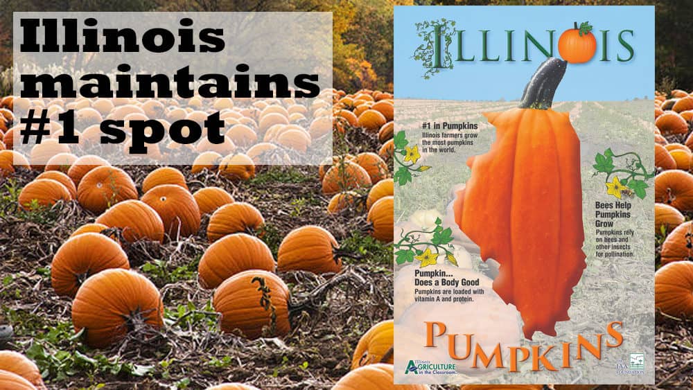 Pike county Illinois among the top 10 pumpkin producing counties
