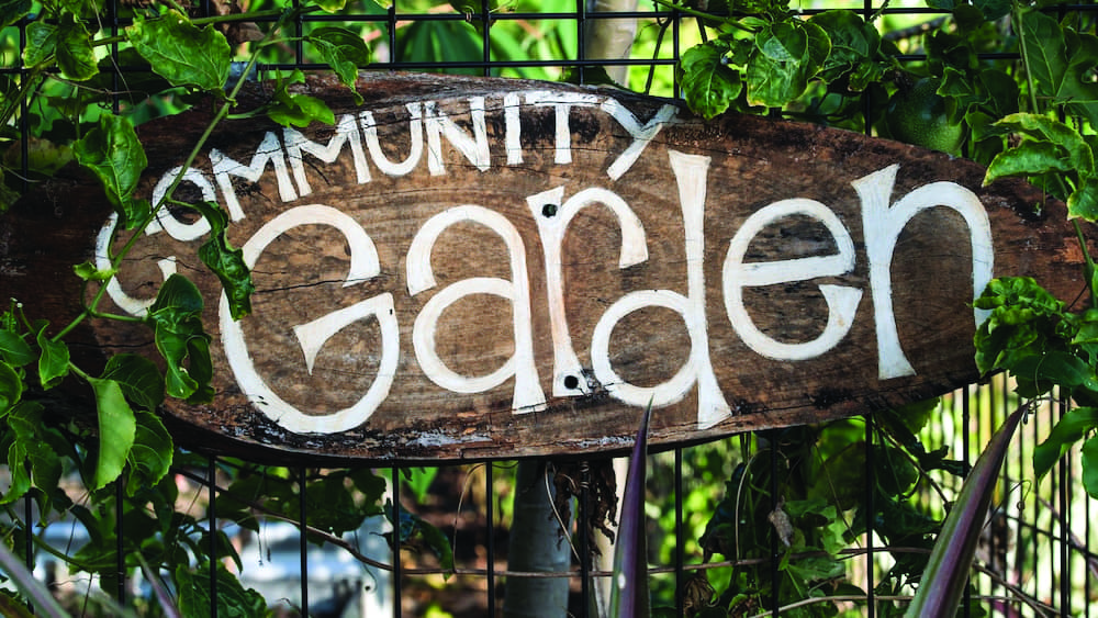 community-garden