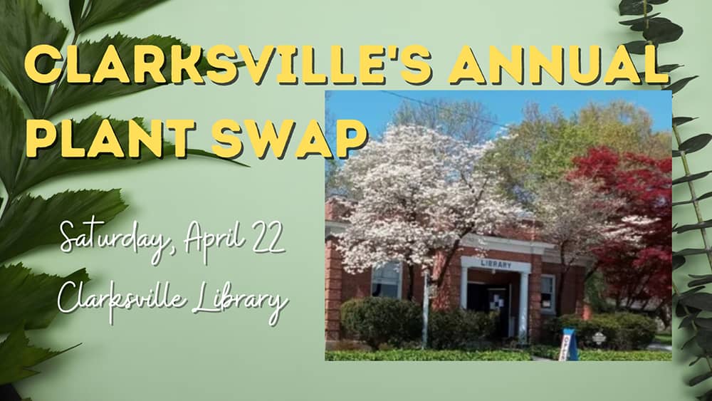 clarksvilles-annual-plant-swap-1
