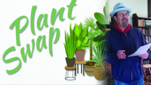 plant-swap-3