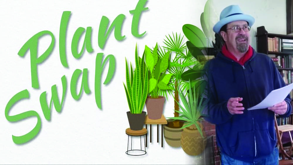 plant-swap-3