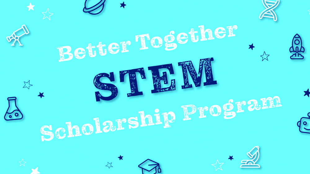stem-program