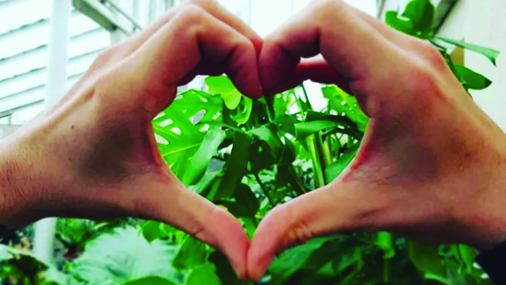 garden-love