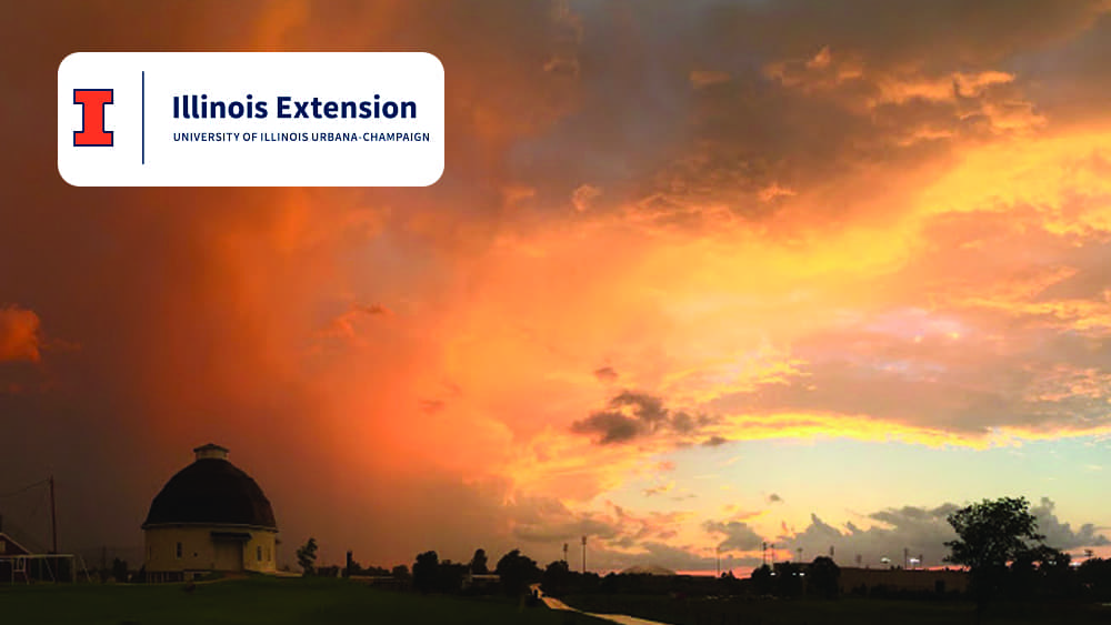 univ-of-ill-extension