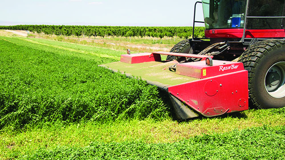 mowing-hay