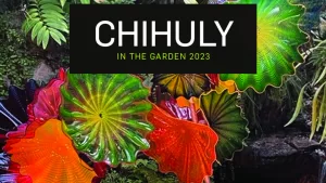 chihuly-in-the-garden