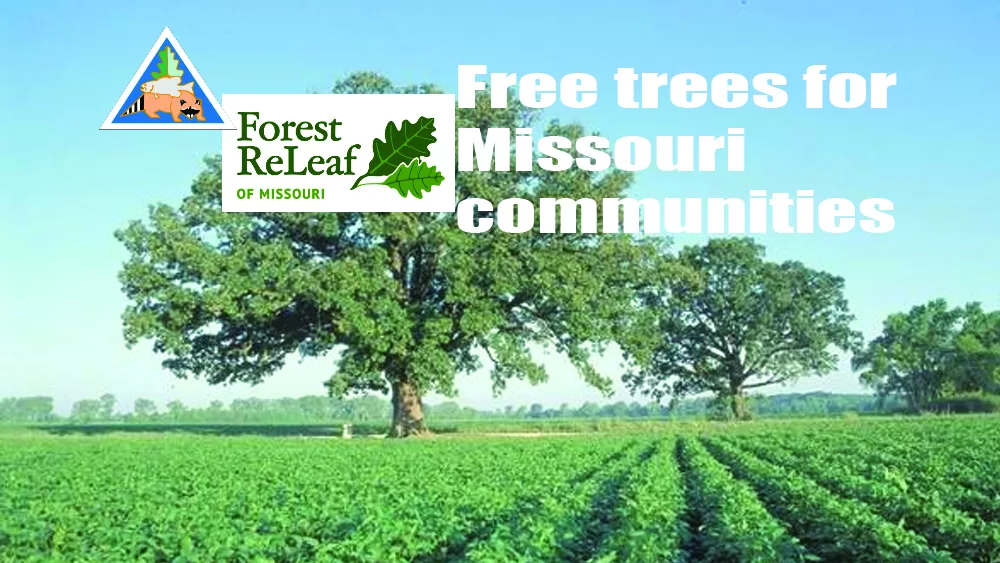 Free trees for Missouri communities Eagle102