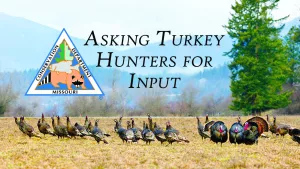 turkey-hunting