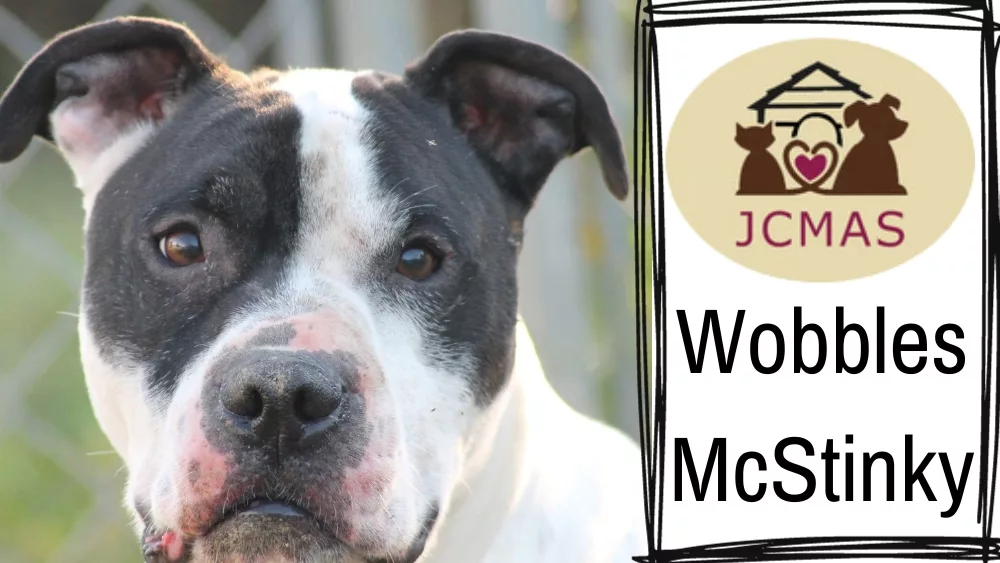 wobbles-mcstinky