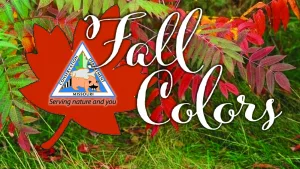fall-colors-copy