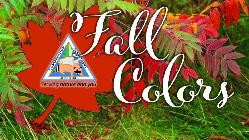 fall-colors-copy