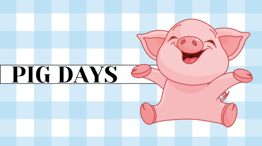 pig-days