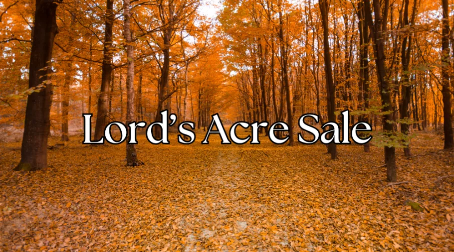 lords-acre-sale-3