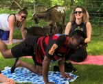 Goat Yoga Fun!