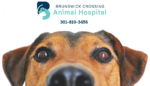 Brunswick Crossing Animal Hospital