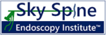 Sky Spine Endoscopy Institute