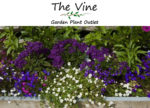 The Vine Garden Plant Outlet