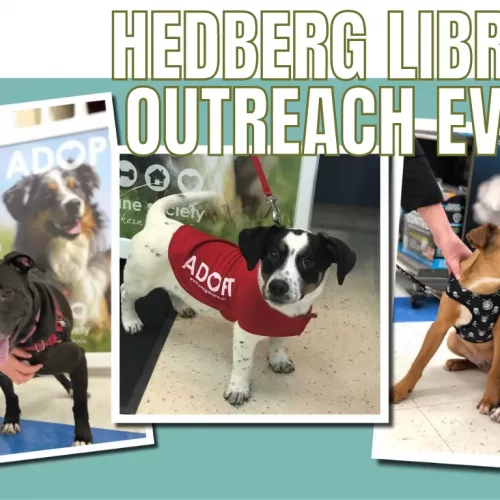 hedberg-library-adoption-event-1-png-5