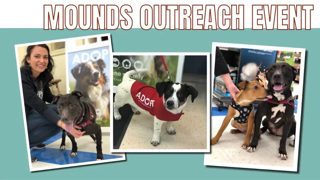 mounds-adoption-event-png-6