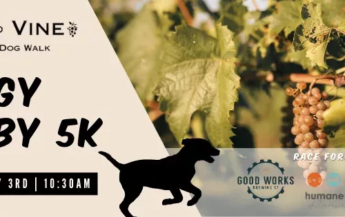 doggy-derby-5k-facebook-cover-png