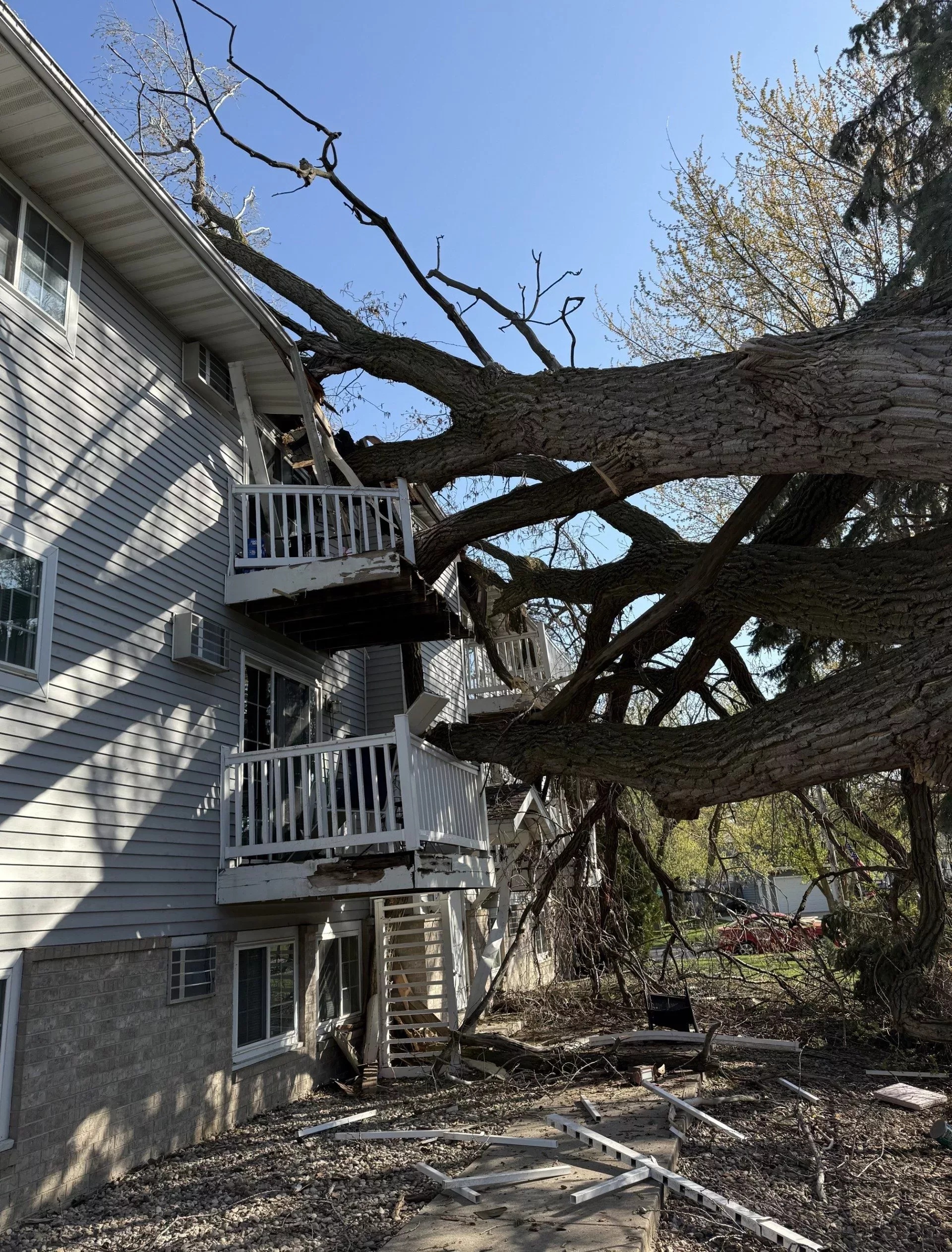 fort-atkinson-apartment-tree-jpg-2