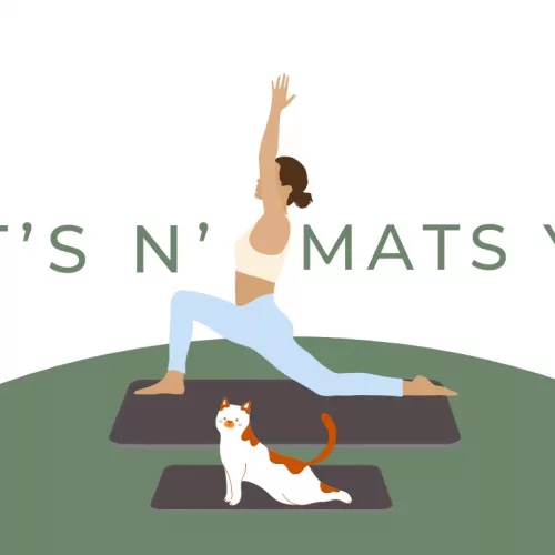 cat-yoga-png