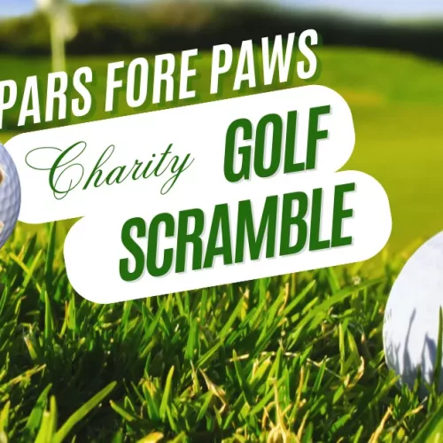 pars-fore-paws-fb-png